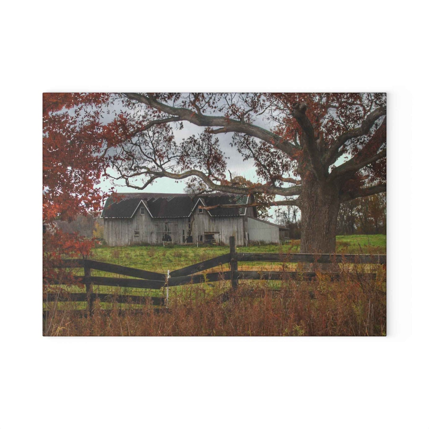U R There Photography Green Road Grey Beyond the Oak Rustic Farmhouse Tempered-Glass Cutting Board