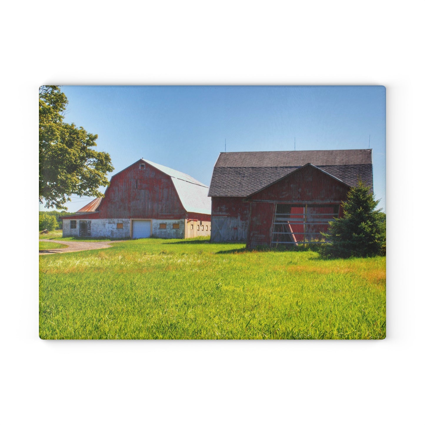 U R There Photography Atwell Road Trio Rustic Farmhouse Tempered-Glass Cutting Board