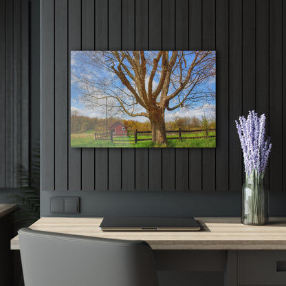 U R There Photography Delano Oak and Little Red Rustic Farmhouse Acrylic Wall Print