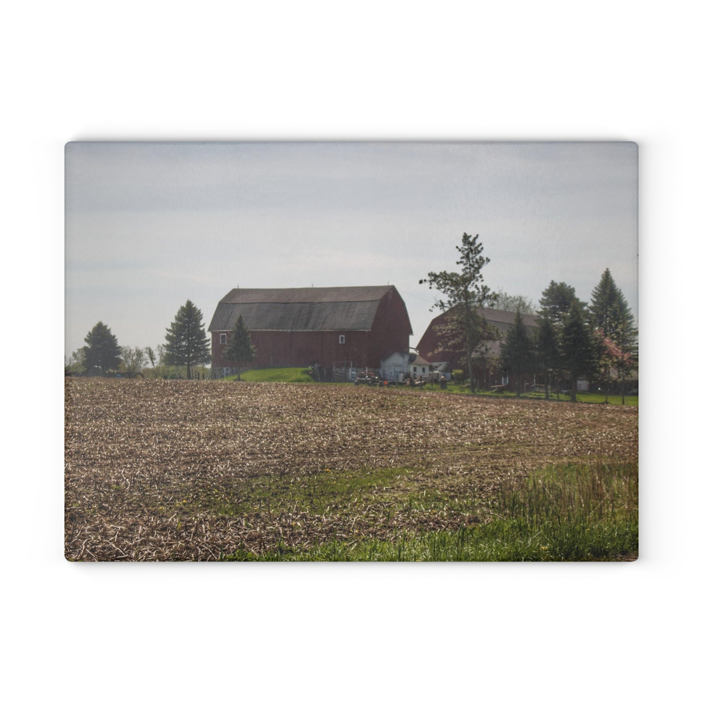 U R There Photography Bishop Road Reds IV Rustic Farmhouse Tempered-Glass Cutting Board
