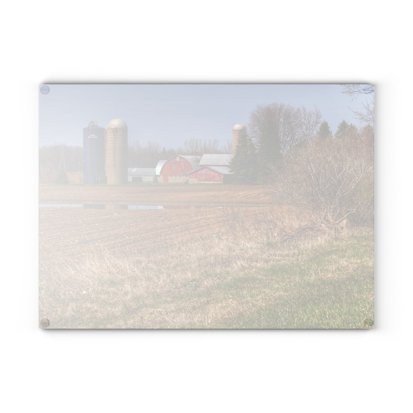 U R There Photography M-24 Northern Reds Farm Rustic Farmhouse Tempered-Glass Cutting Board