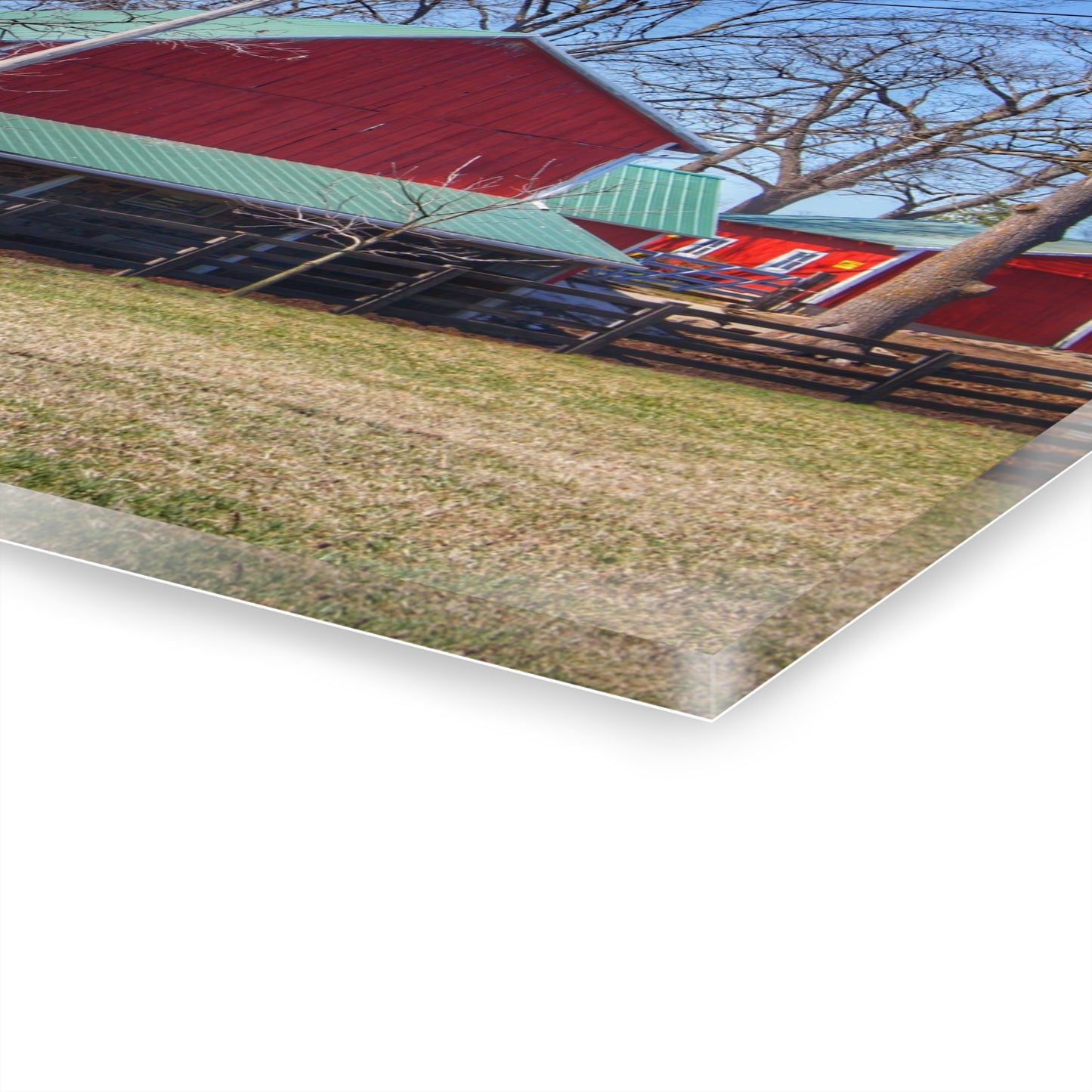 U R There Photography Imlay City Road Cow Barn I Rustic Farmhouse Acrylic Wall Print