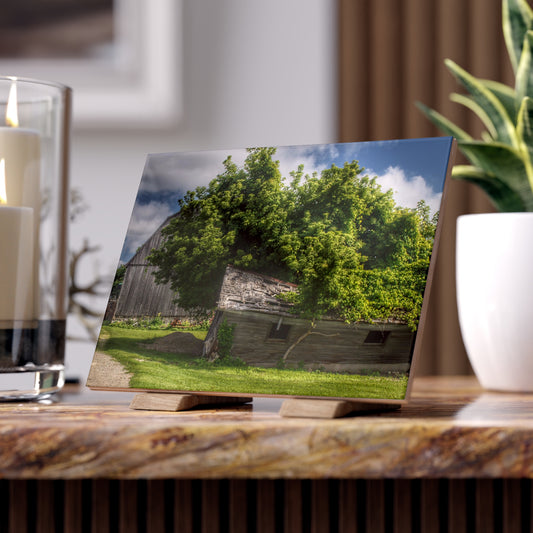 U R There Photography Brown City Road Barn and Buddy I Rustic Farmhouse Decorative Ceramic Tile