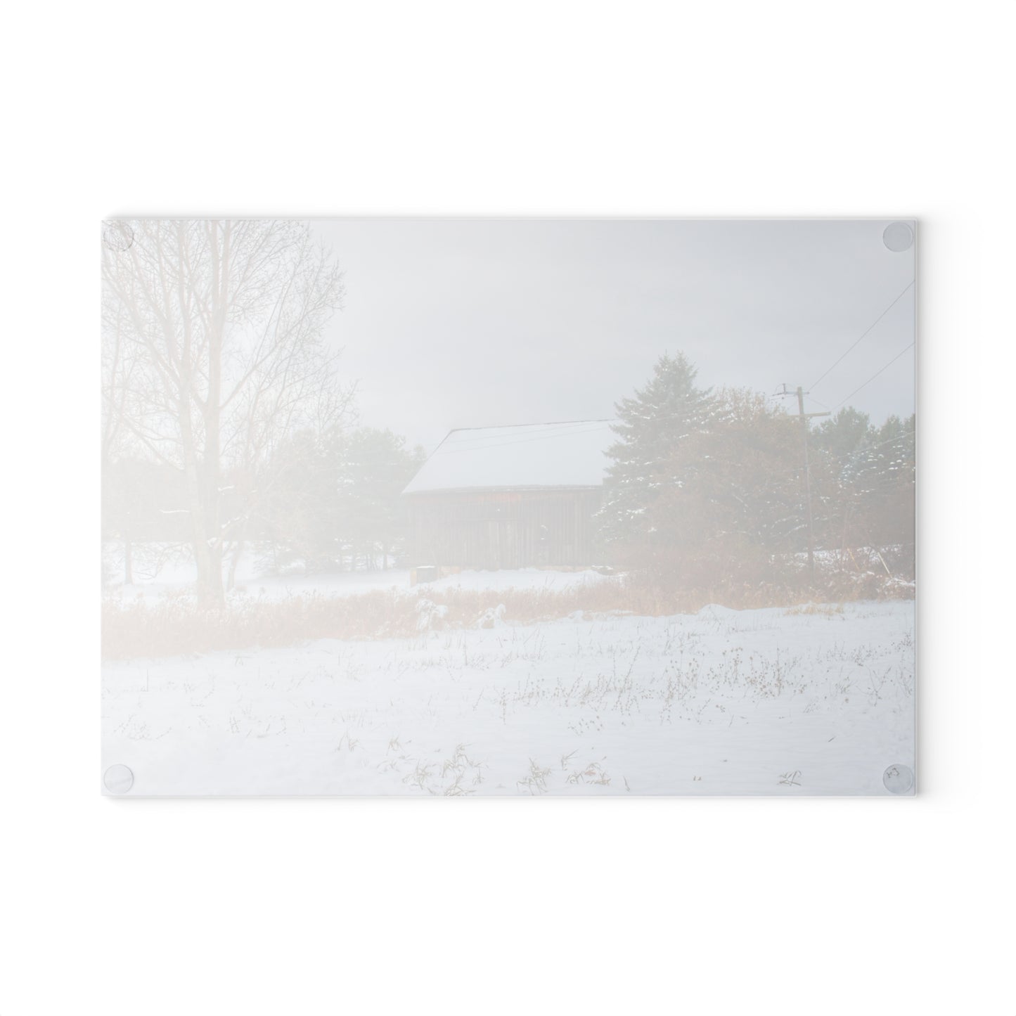 U R There Photography Hosner Road Grey in Winter Rustic Farmhouse Tempered-Glass Cutting Board