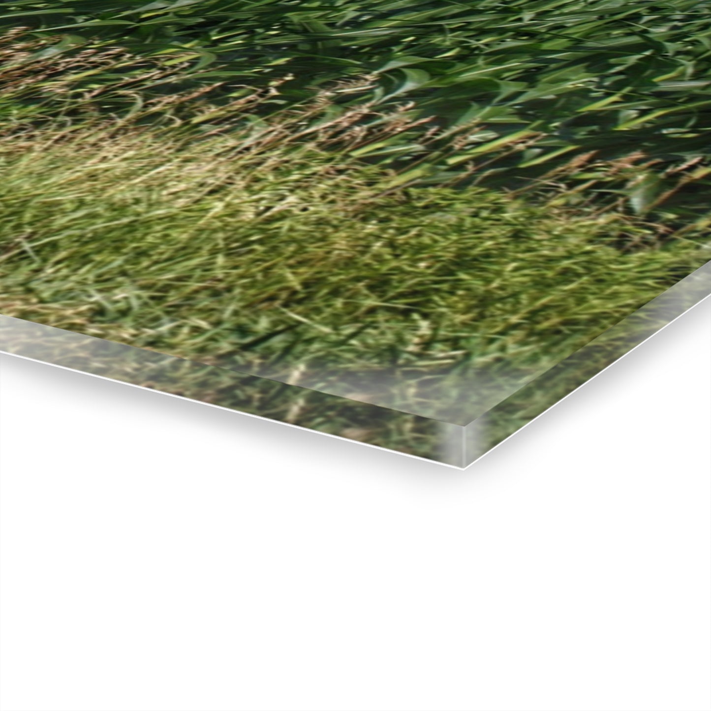 U R There Photography North Lake Pleasant Red Above the Corn Rustic Farmhouse Acrylic Wall Print