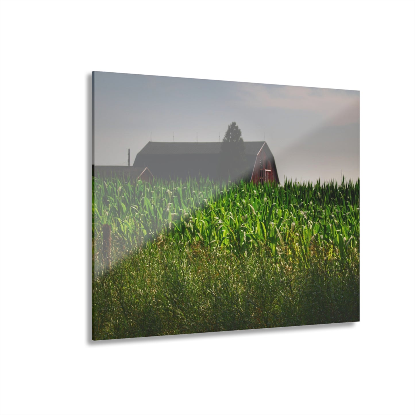 U R There Photography Beyond the Corn in Metamora Rustic Farmhouse Acrylic Wall Print