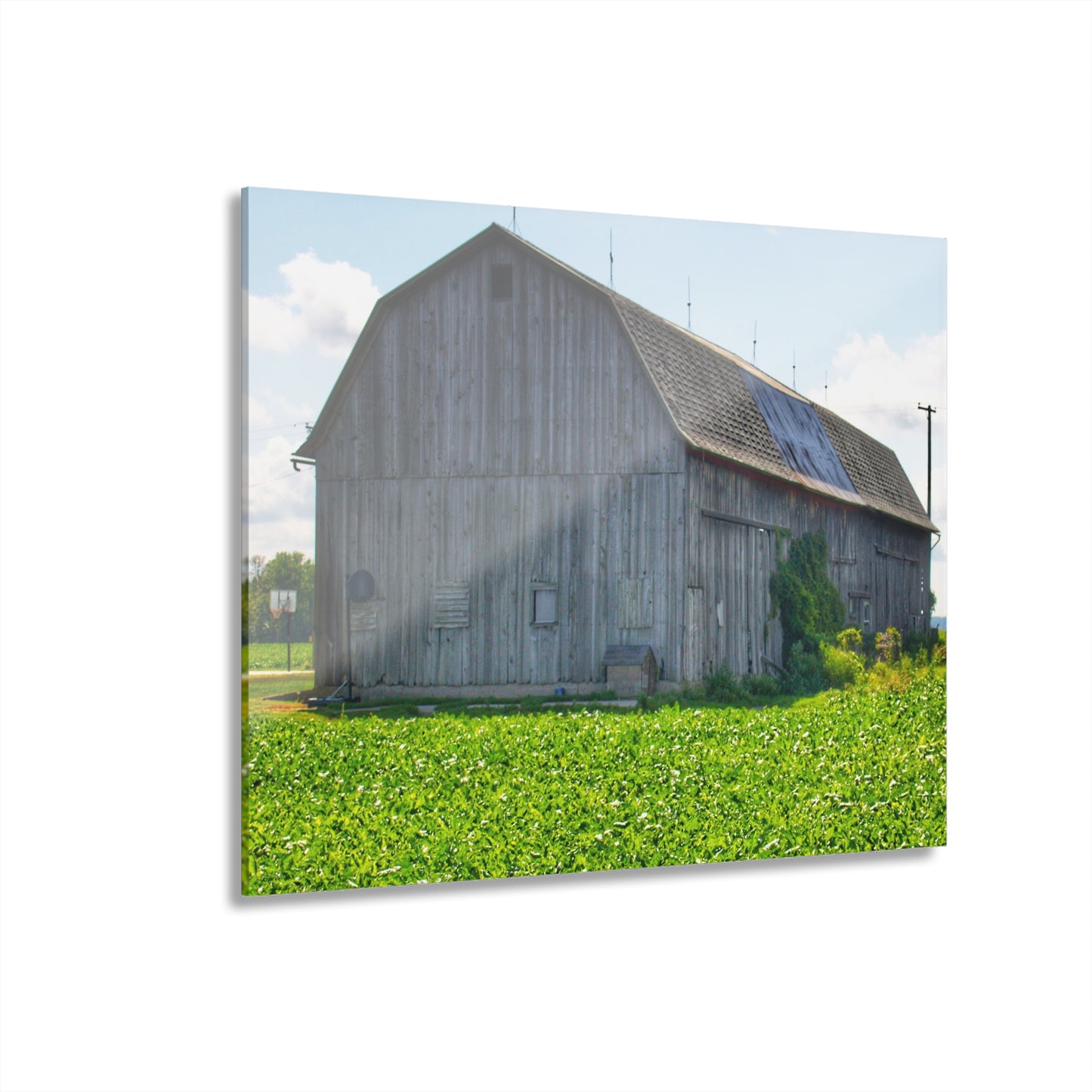 U R There Photography Morning Roadside Grey Rustic Farmhouse Acrylic Wall Print