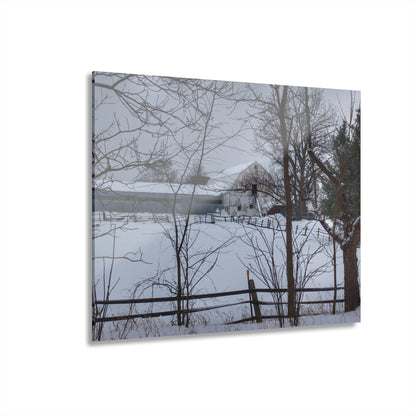 U R There Photography Oakwood Hidden White Rustic Farmhouse Acrylic Wall Print