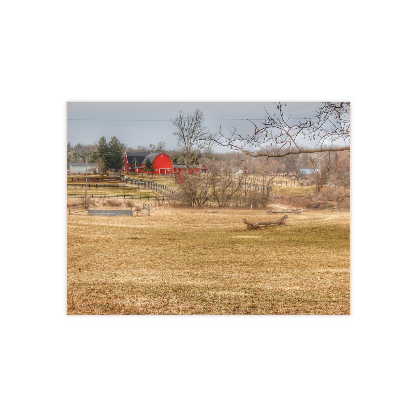 U R There Photography Beyond the Trees on Rock Valley Road Rustic Farmhouse Decorative Ceramic Tile
