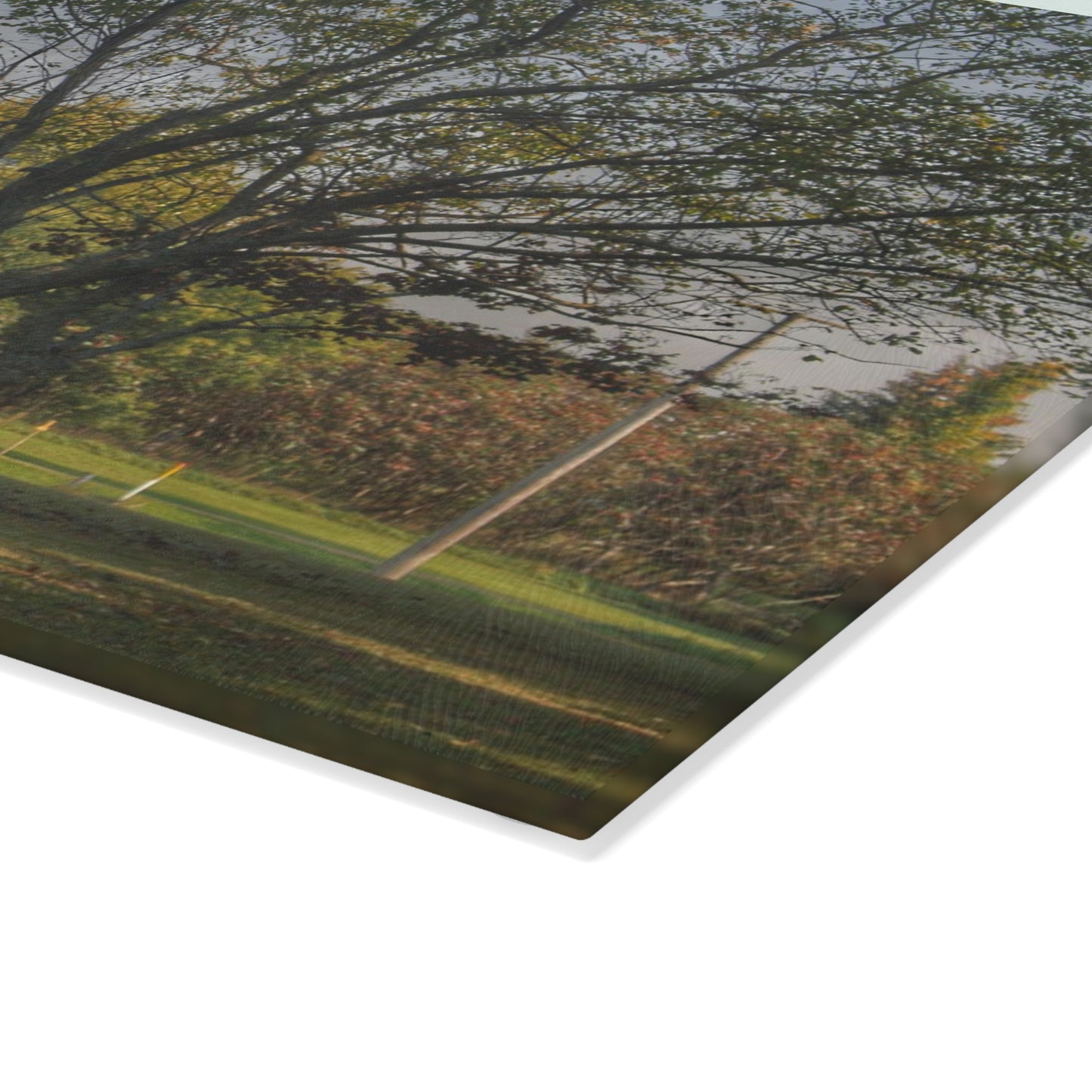 U R There Photography Belle River Red II Rustic Farmhouse Tempered-Glass Cutting Board
