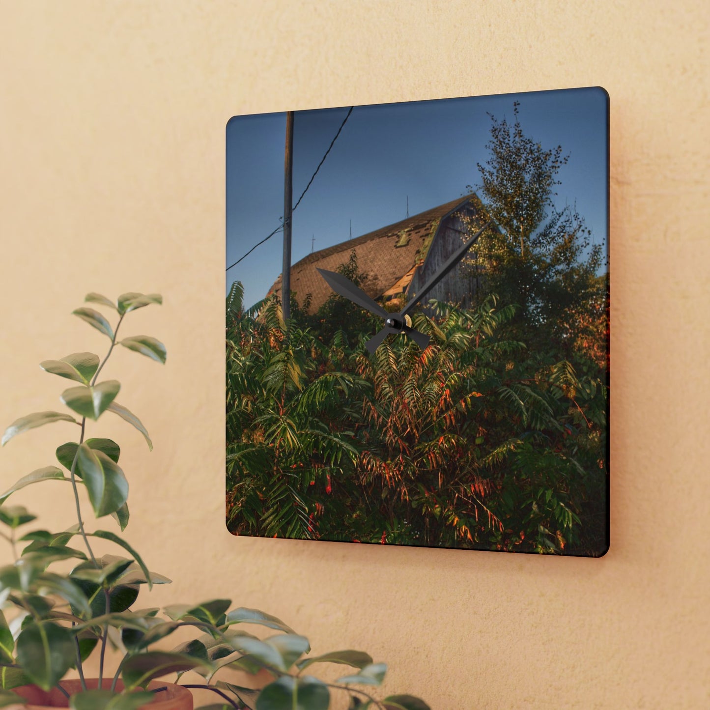 U R There Photography Hidden on Bearanger Road Rustic Farmhouse Acrylic Analog Wall Clock