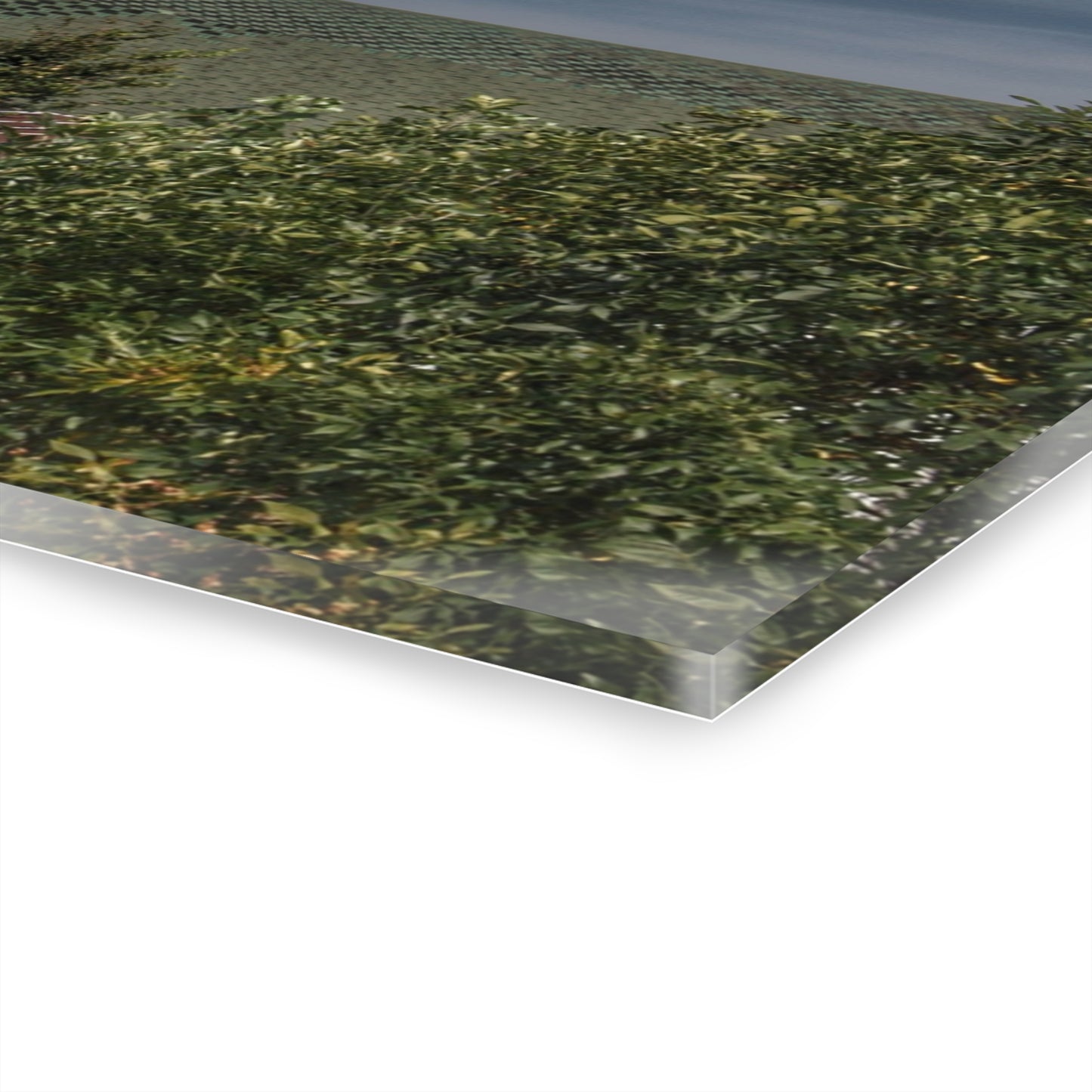 U R There Photography Hill Road Hidden Grey II Rustic Farmhouse Acrylic Wall Print