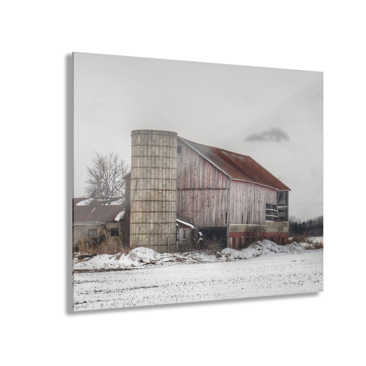 U R There Photography Babcock Road Grey Rustic Farmhouse Acrylic Wall Print