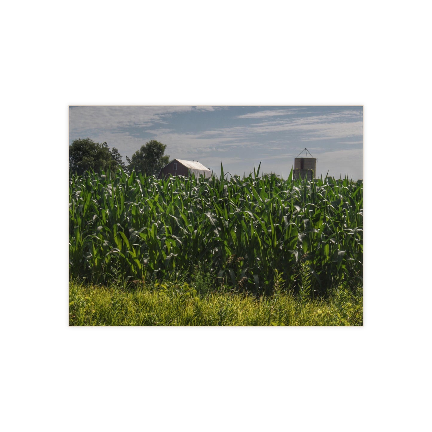 U R There Photography Above the Corn on Piersonville Road I Rustic Farmhouse Decorative Ceramic Tile