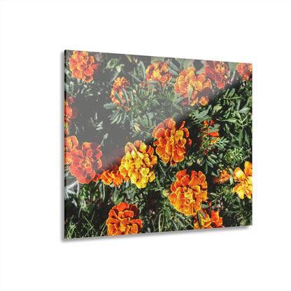 U R There Photography Marigolds Rustic Farmhouse Acrylic Wall Print