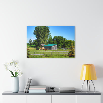 Barn Boutique Modern Farmhouse Acrylic Wall Print| Newark Roadside Farm