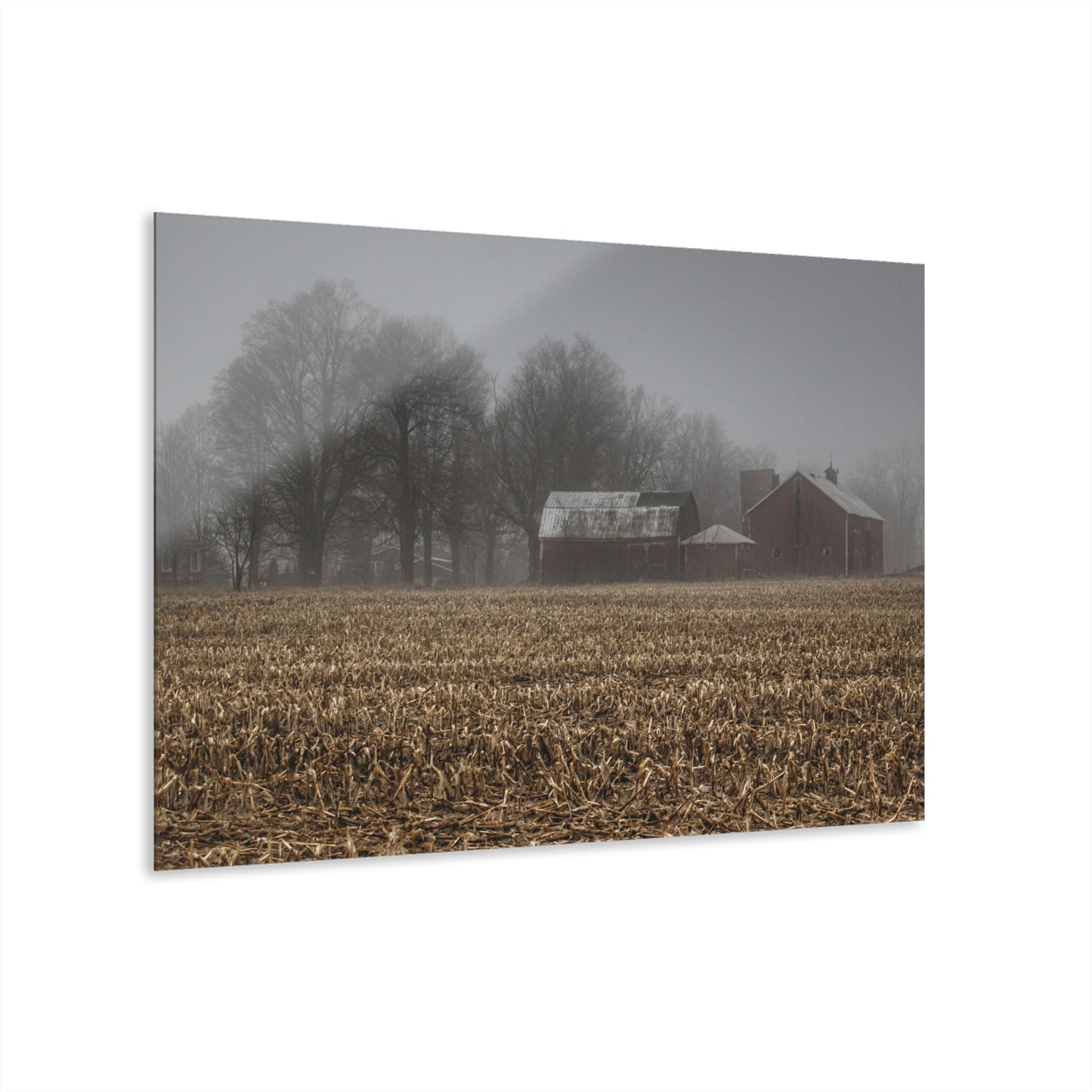 U R There Photography Farm in the Fog on Barnes Road Rustic Farmhouse Acrylic Wall Print