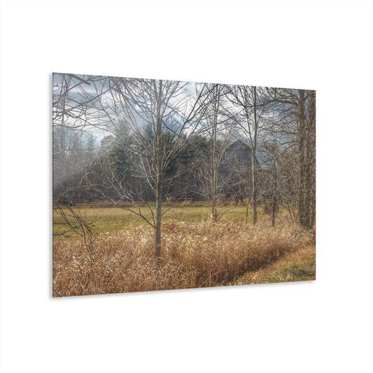 U R There Photography Speaker Road Hidden Grey Rustic Farmhouse Acrylic Wall Print