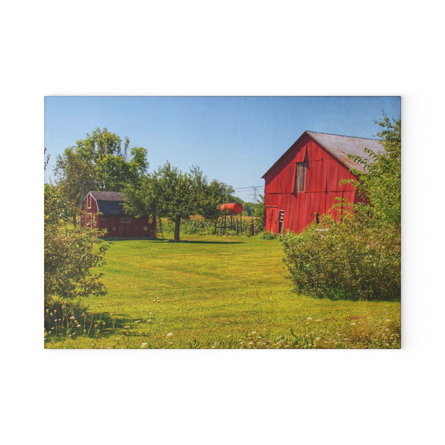 U R There Photography East Farrand Reds Rustic Farmhouse Tempered-Glass Cutting Board