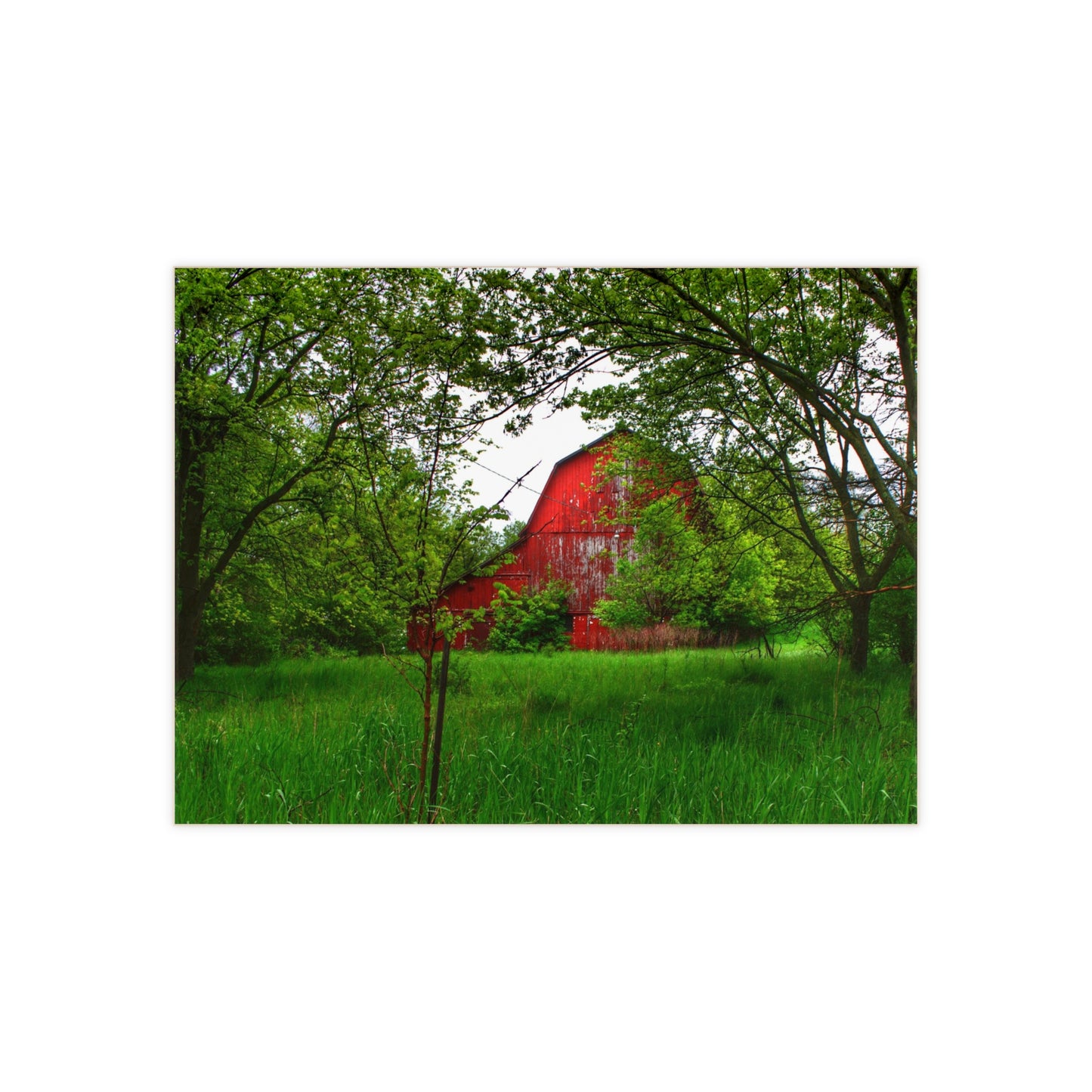 U R There Photography Bird Road Red Rustic Farmhouse Decorative Ceramic Tile