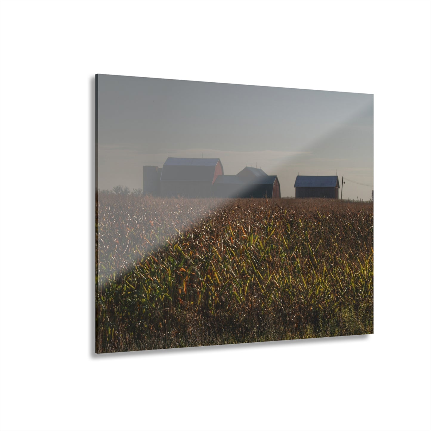 U R There Photography Slattery Road Farm and Cornfield I Rustic Farmhouse Acrylic Wall Print
