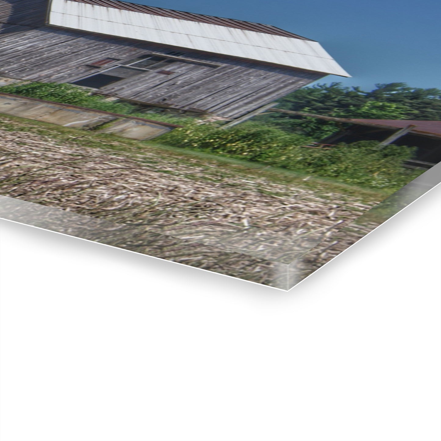 U R There Photography Millington Road Grey Rustic Farmhouse Acrylic Wall Print