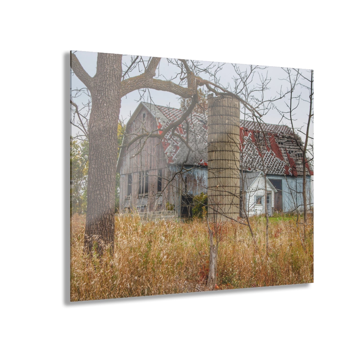 U R There Photography Hill Road Roadside Grey II Rustic Farmhouse Acrylic Wall Print