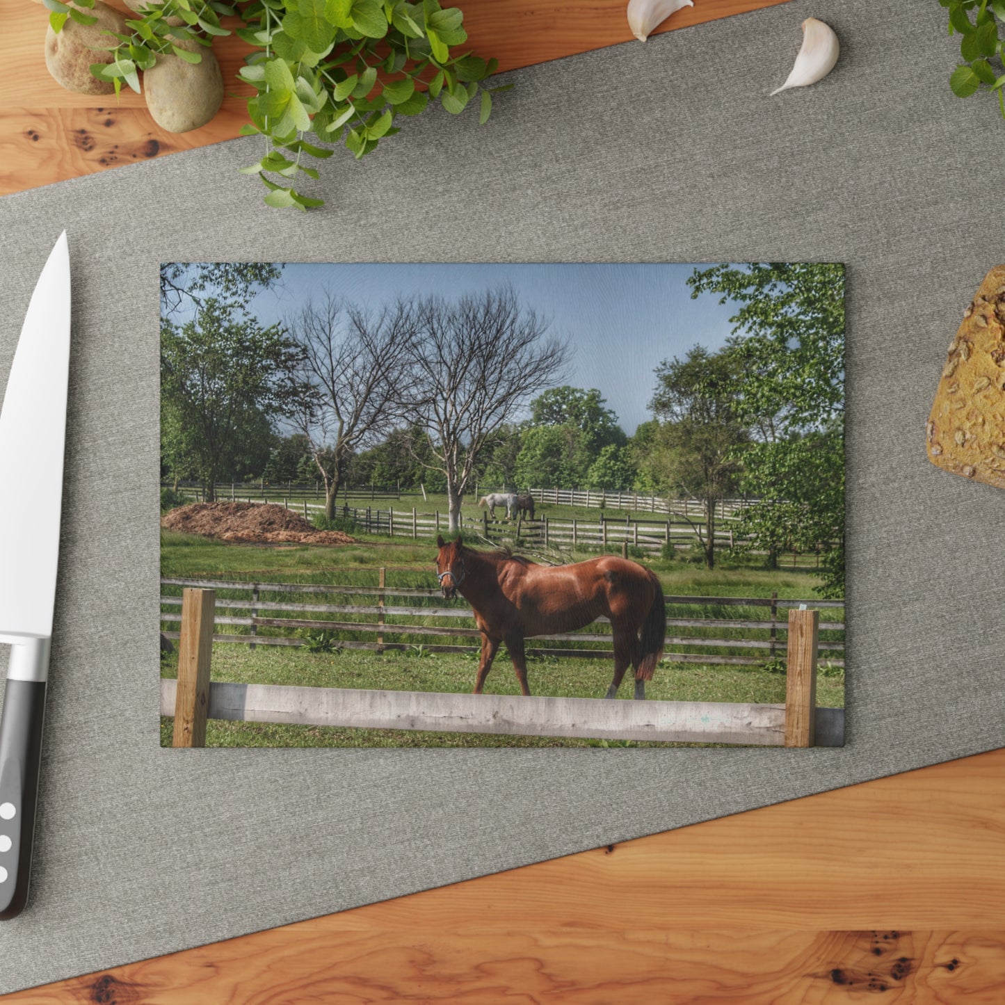 U R There Photography Summer Road Ponies Rustic Farmhouse Tempered-Glass Cutting Board