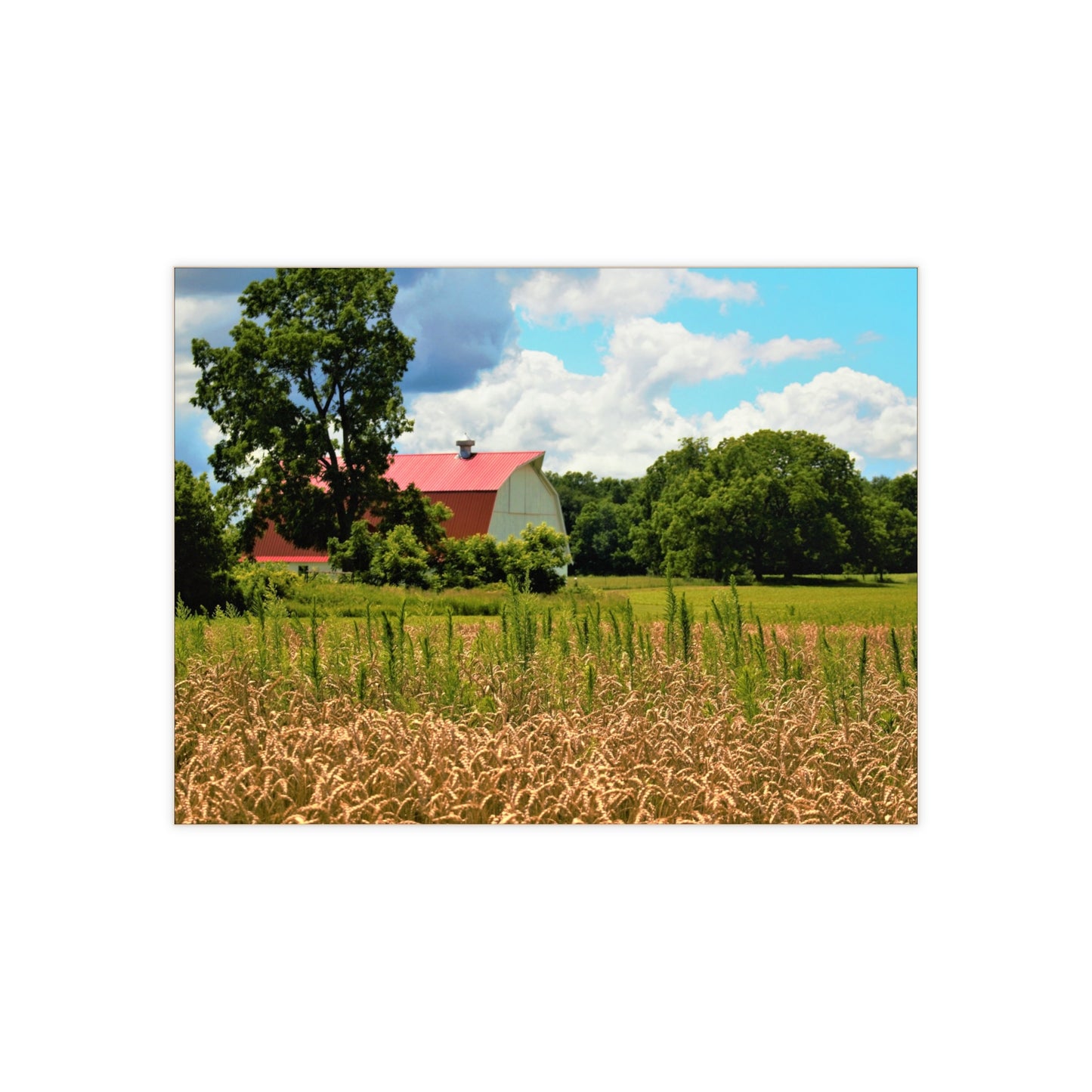 U R There Photography Northern White Rustic Farmhouse Decorative Ceramic Tile