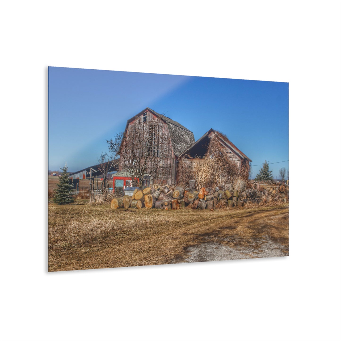 U R There Photography Dutcher Road Grey Rustic Farmhouse Acrylic Wall Print