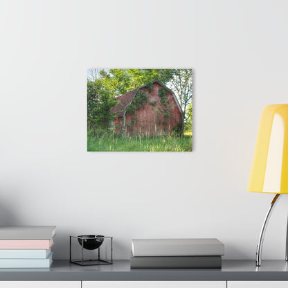 U R There Photography Murphy Lake Road Old Red Rustic Farmhouse Acrylic Wall Print