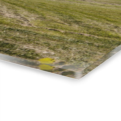 U R There Photography Havens Road Grey Rustic Farmhouse Acrylic Wall Print