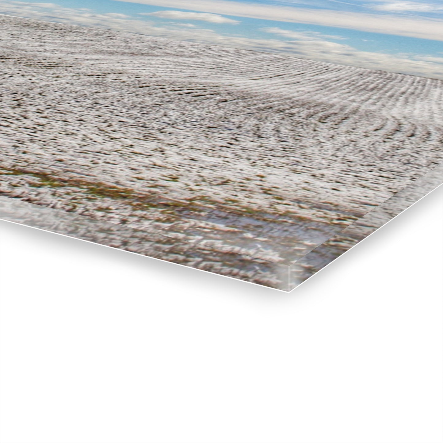 U R There Photography Early Spring Grey II Rustic Farmhouse Acrylic Wall Print