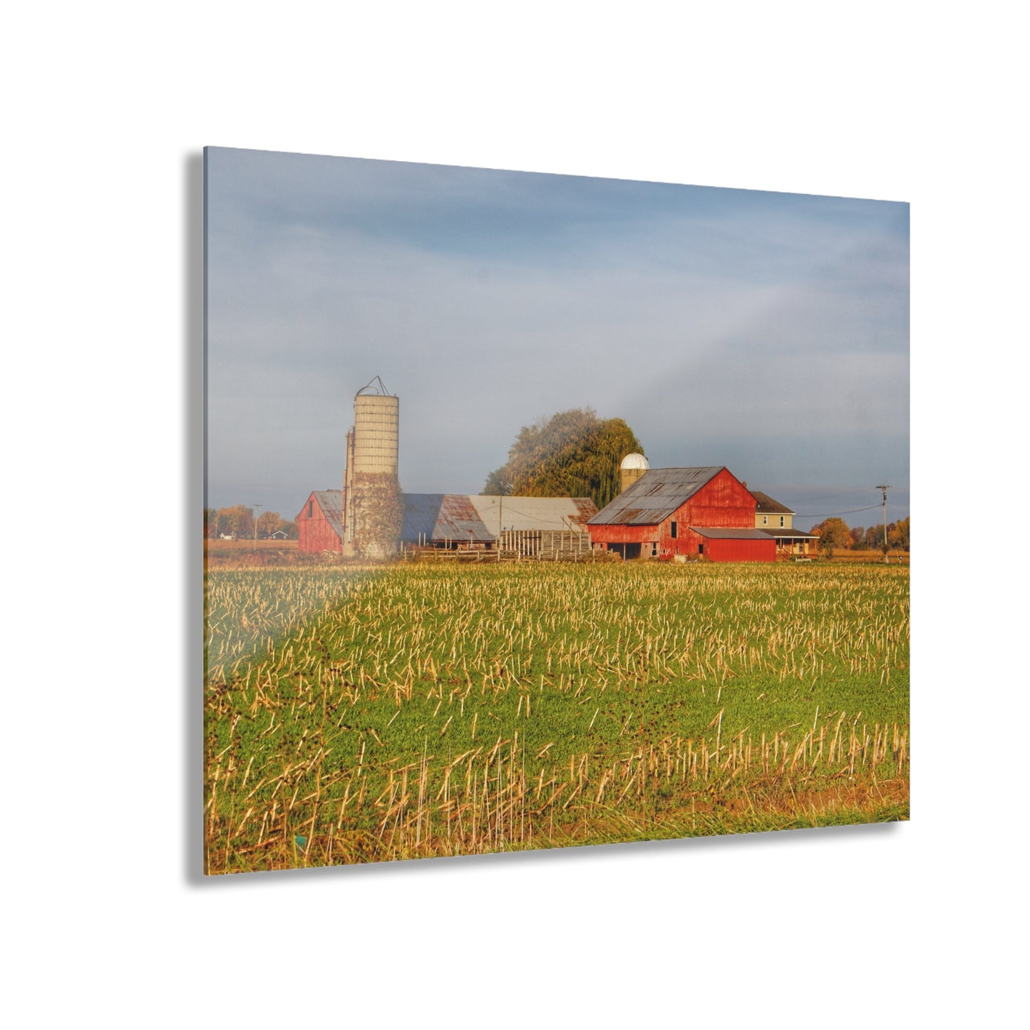 U R There Photography Maple Valley Farm Rustic Farmhouse Acrylic Wall Print