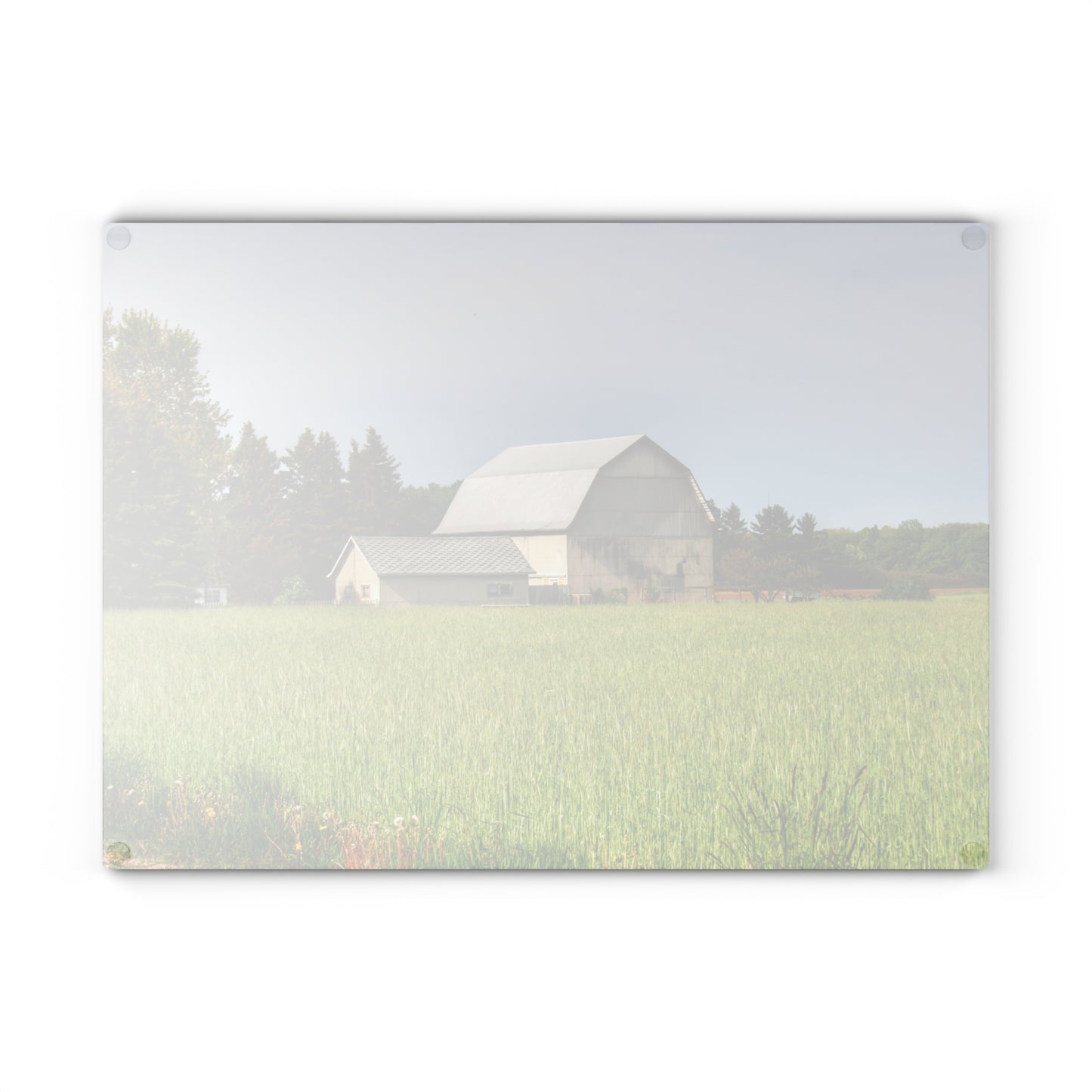 U R There Photography North Graf Road White Rustic Farmhouse Tempered-Glass Cutting Board