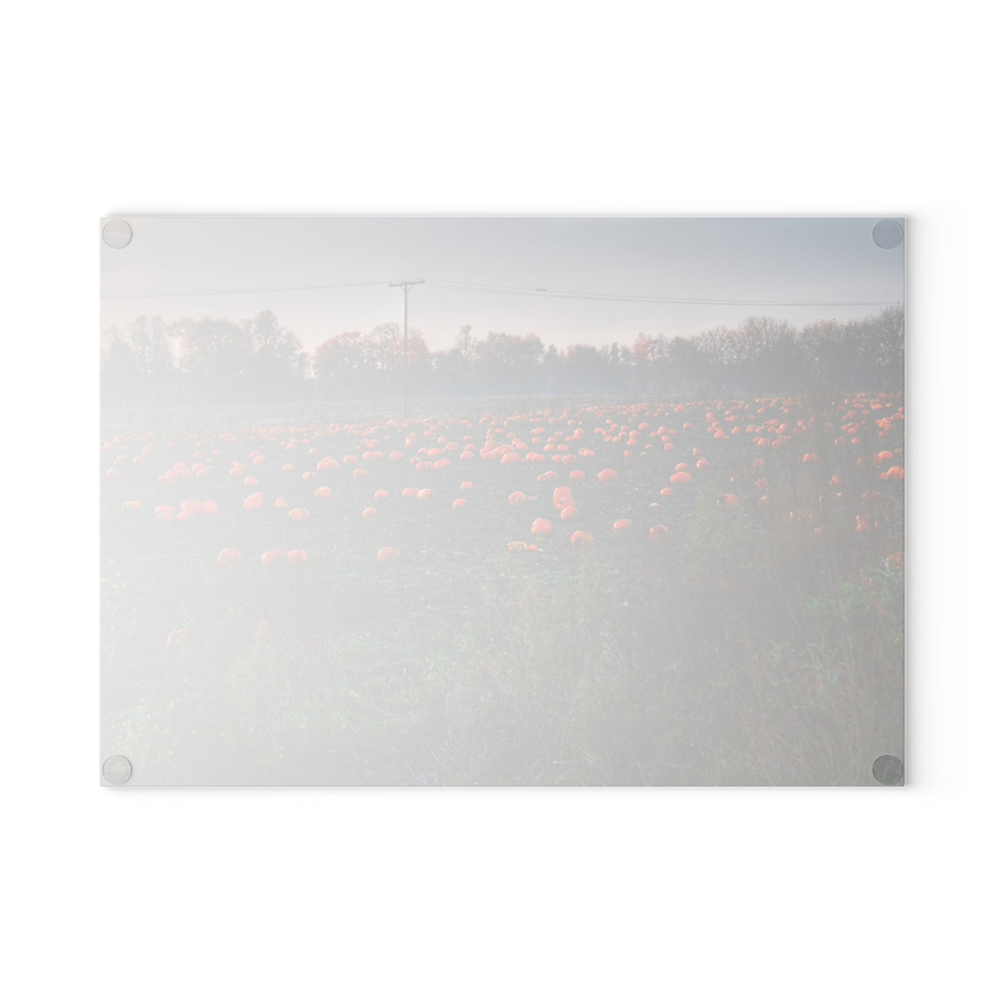 U R There Photography Five Lakes Pumpkins Rustic Farmhouse Tempered-Glass Cutting Board