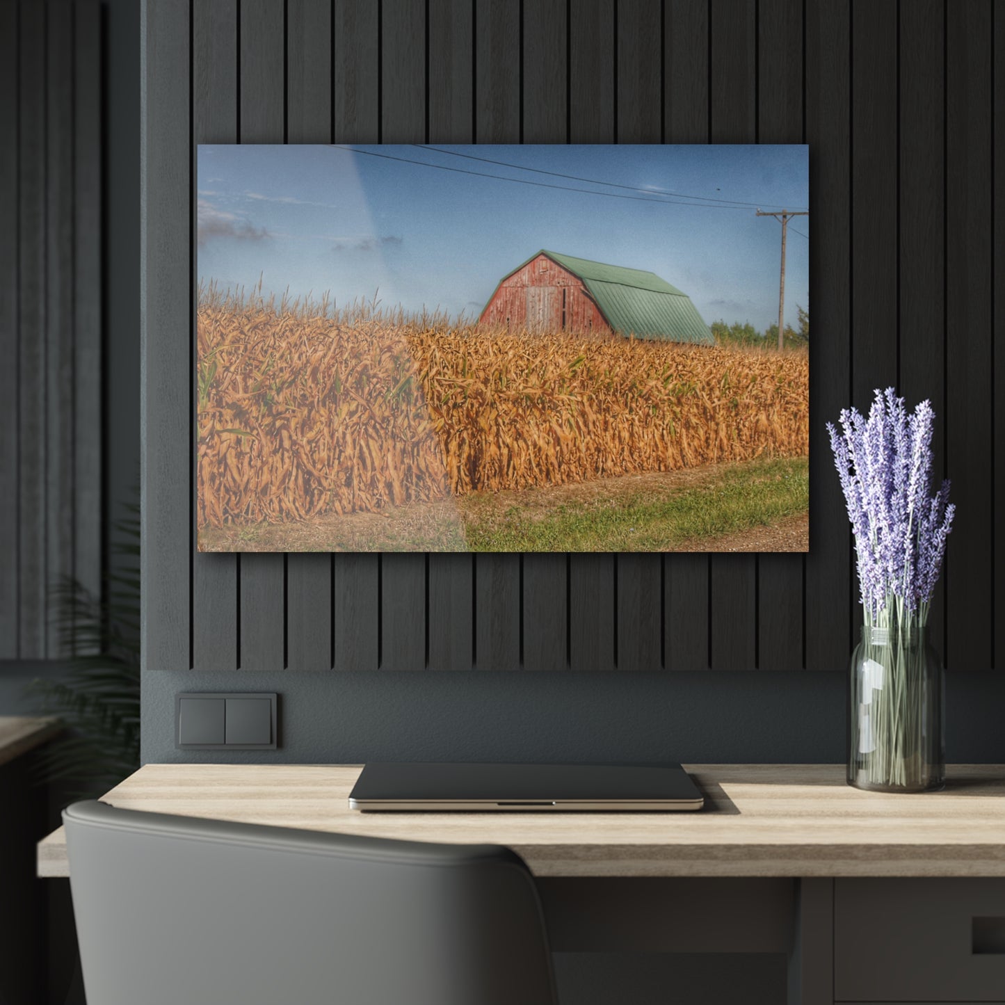 U R There Photography Beyond the Harvest Corn I Rustic Farmhouse Acrylic Wall Print
