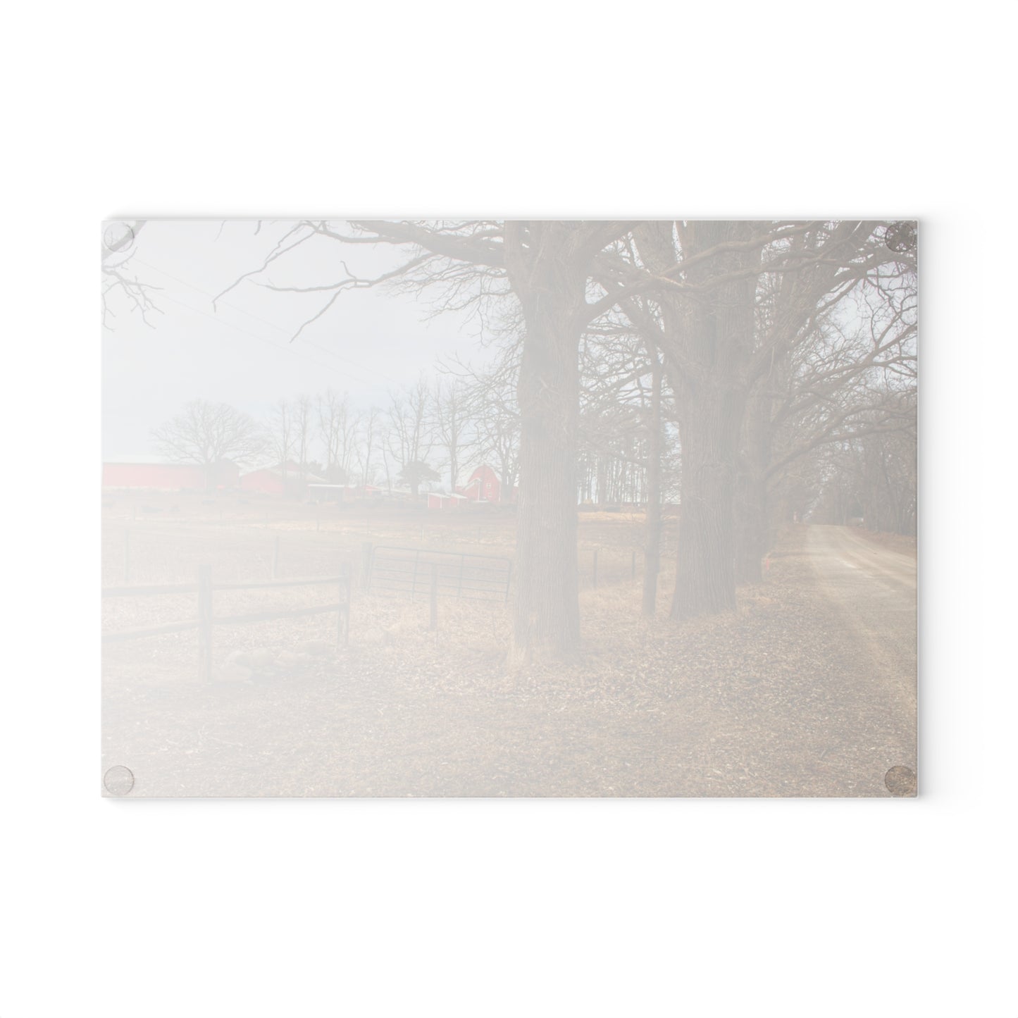 U R There Photography Wilder Road Cow Farm Rustic Farmhouse Tempered-Glass Cutting Board