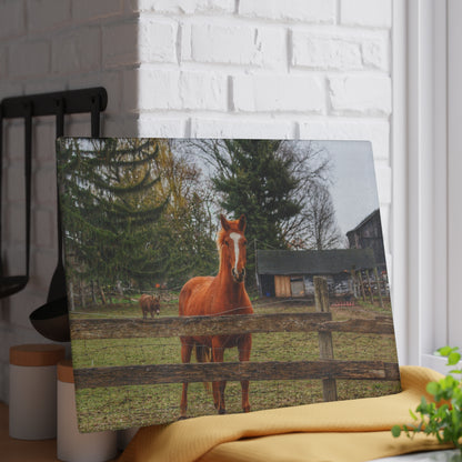 U R There Photography South Summers Road Old Grey and Caramel I Rustic Farmhouse Tempered-Glass Cutting Board
