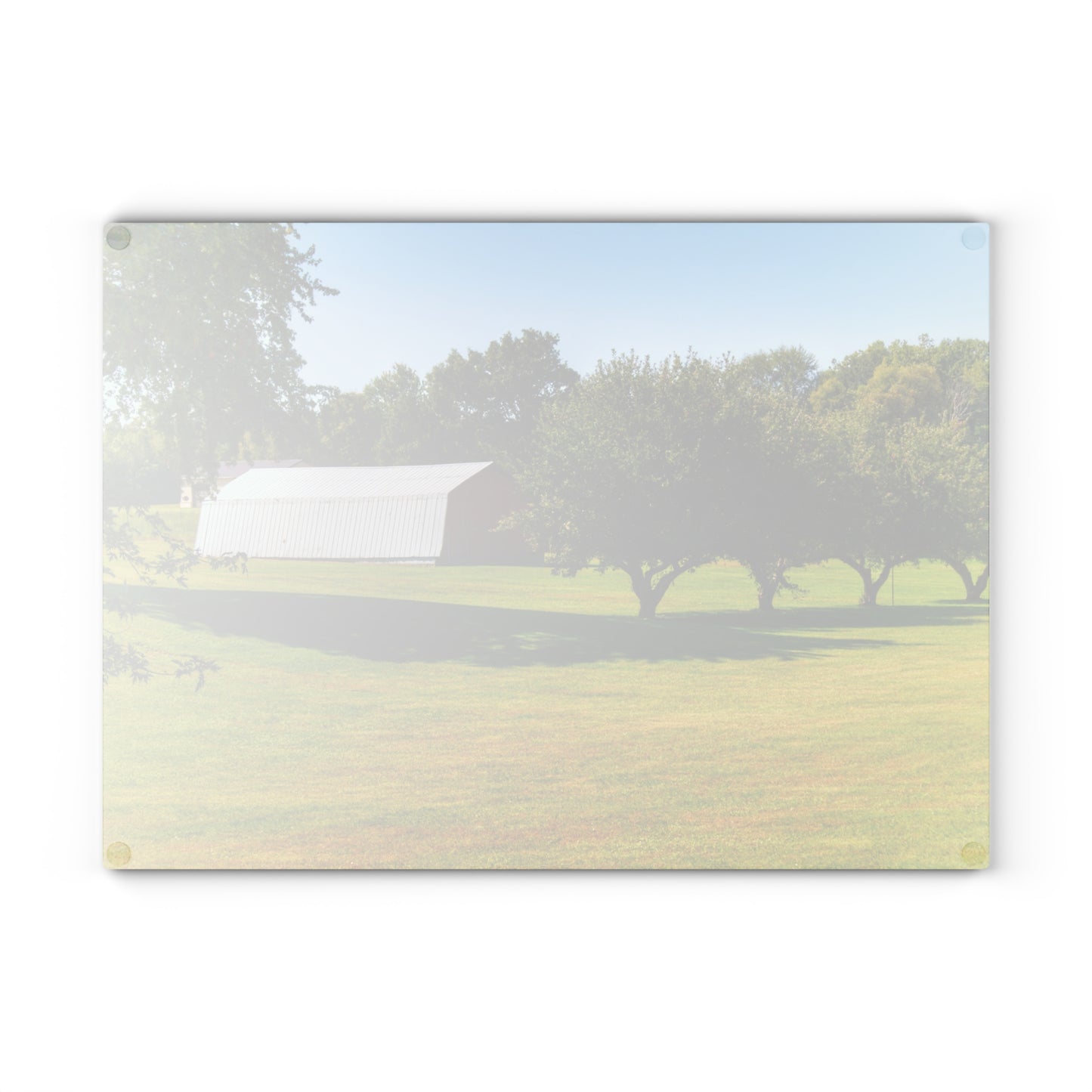 U R There Photography Lake Pleasant Road Hidden Quonset Rustic Farmhouse Tempered-Glass Cutting Board