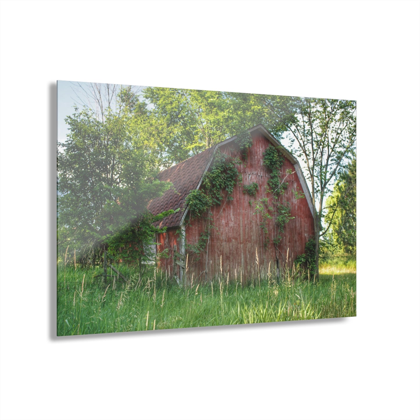 U R There Photography Murphy Lake Road Old Red Rustic Farmhouse Acrylic Wall Print