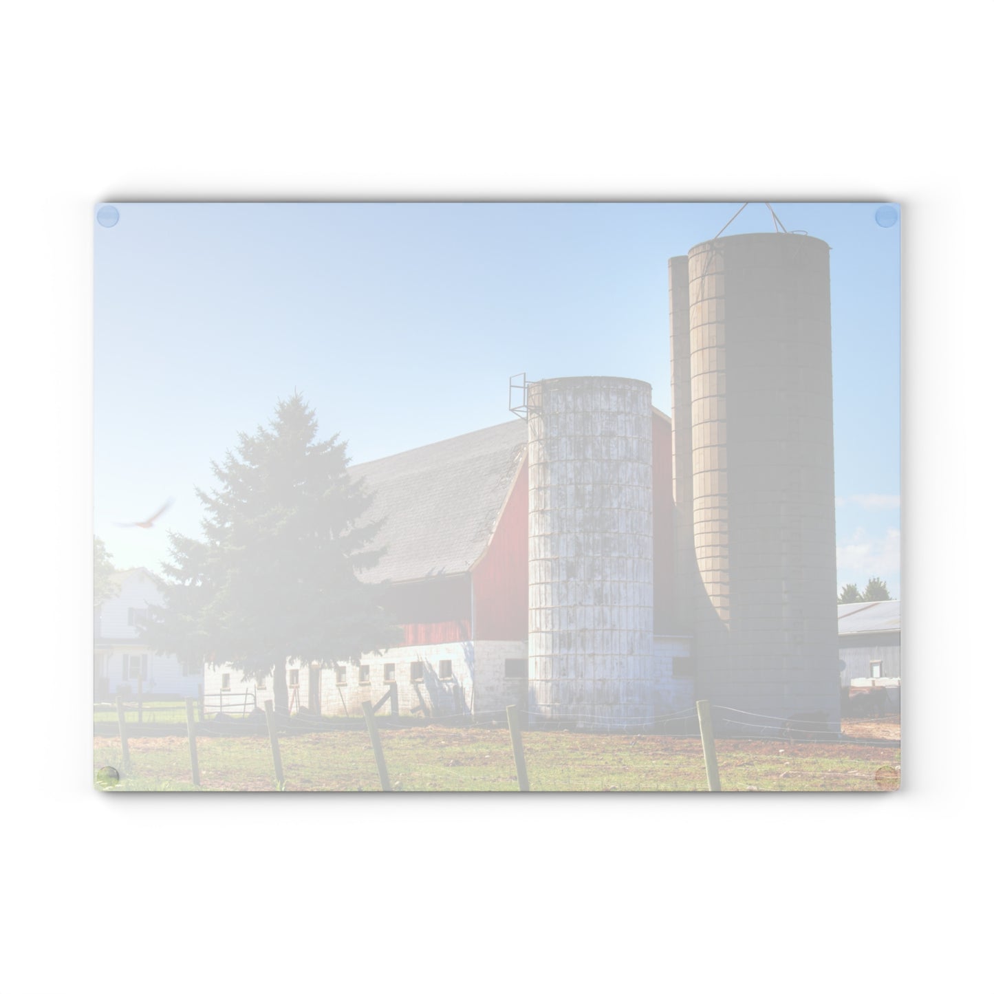 U R There Photography Hunters Creek Road Cow Barn I Rustic Farmhouse Tempered-Glass-Cutting Board