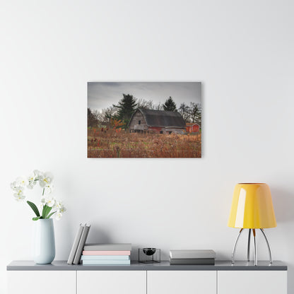 U R There Photography Field Grey and Little Red Rustic Farmhouse Acrylic Wall Print