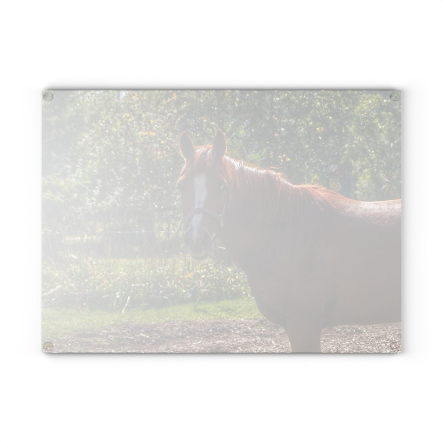 U R There Photography Froede Road Chestnut Brown Rustic Farmhouse Tempered-Glass Cutting Board