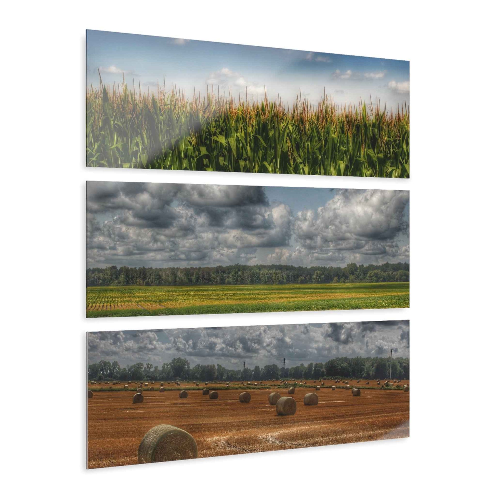 U R There Photography Lay of the Land Rustic Farmhouse 3-Panel Acrylic Wall Print