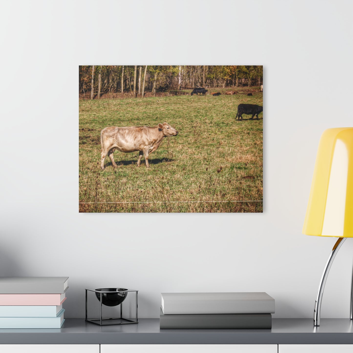 Barn Boutique Modern Farmhouse Acrylic Wall Print| Cass City Road Cows