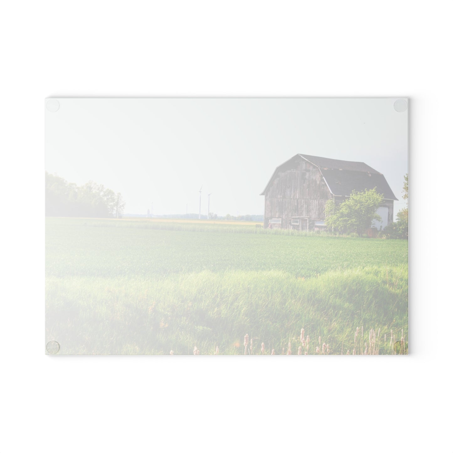 U R There Photography North Graf Road Old Grey Rustic Farmhouse Tempered-Glass Cutting Board