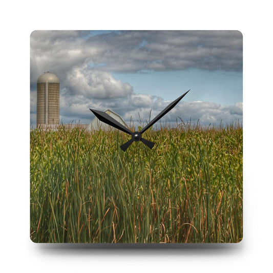 U R There Photography White Barn Overlooking Cornfield Rustic Farmhouse Acrylic Analog Wall Clock 10.75'' × 10.75'' (Square)