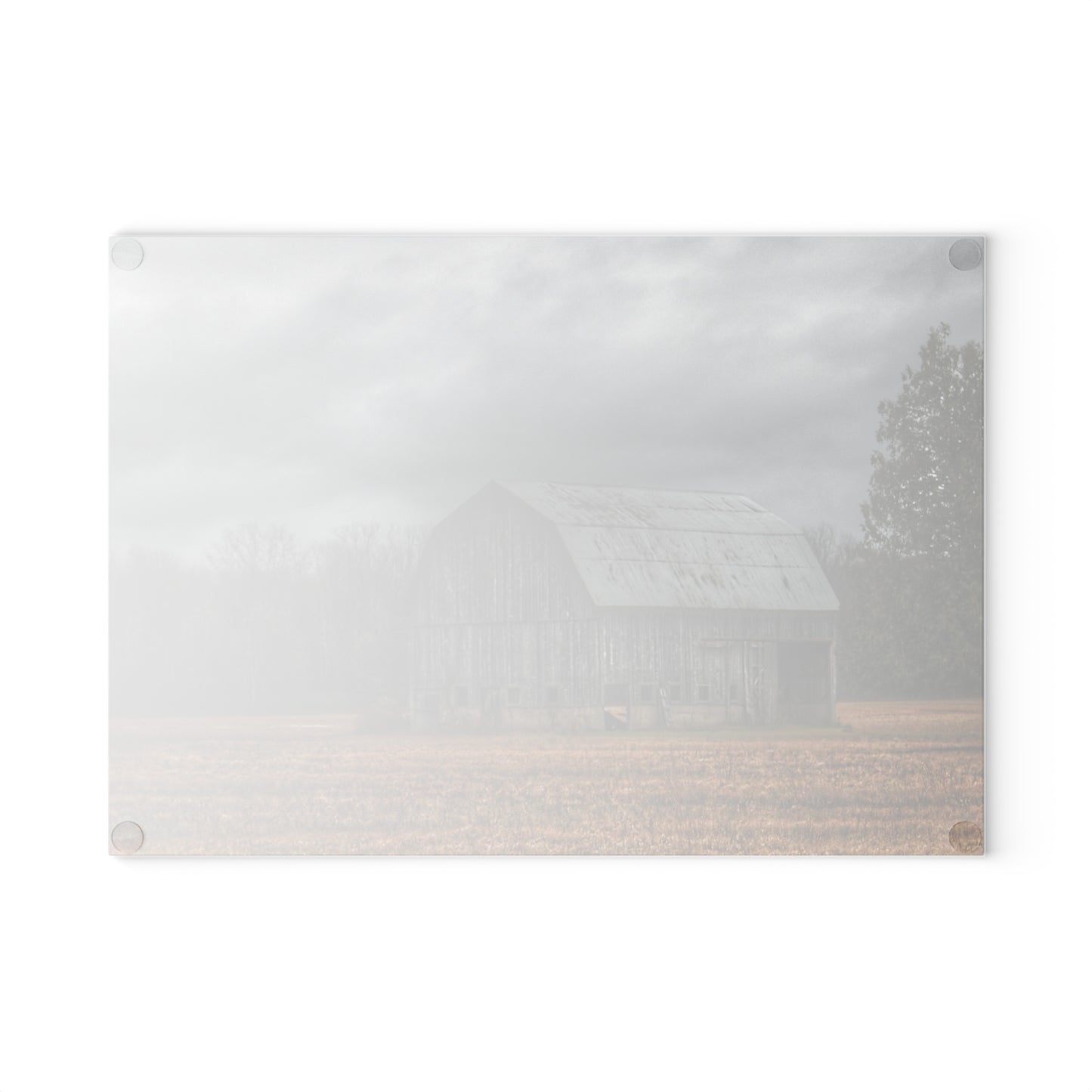 U R There Photography Grey Barn and Tree Rustic Farmhouse Tempered-Glass Cutting Board