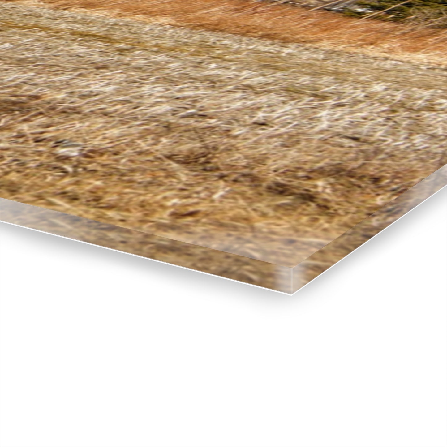 U R There Photography Hidden Scotch Settlement Red Rustic Farmhouse Acrylic Wall Print